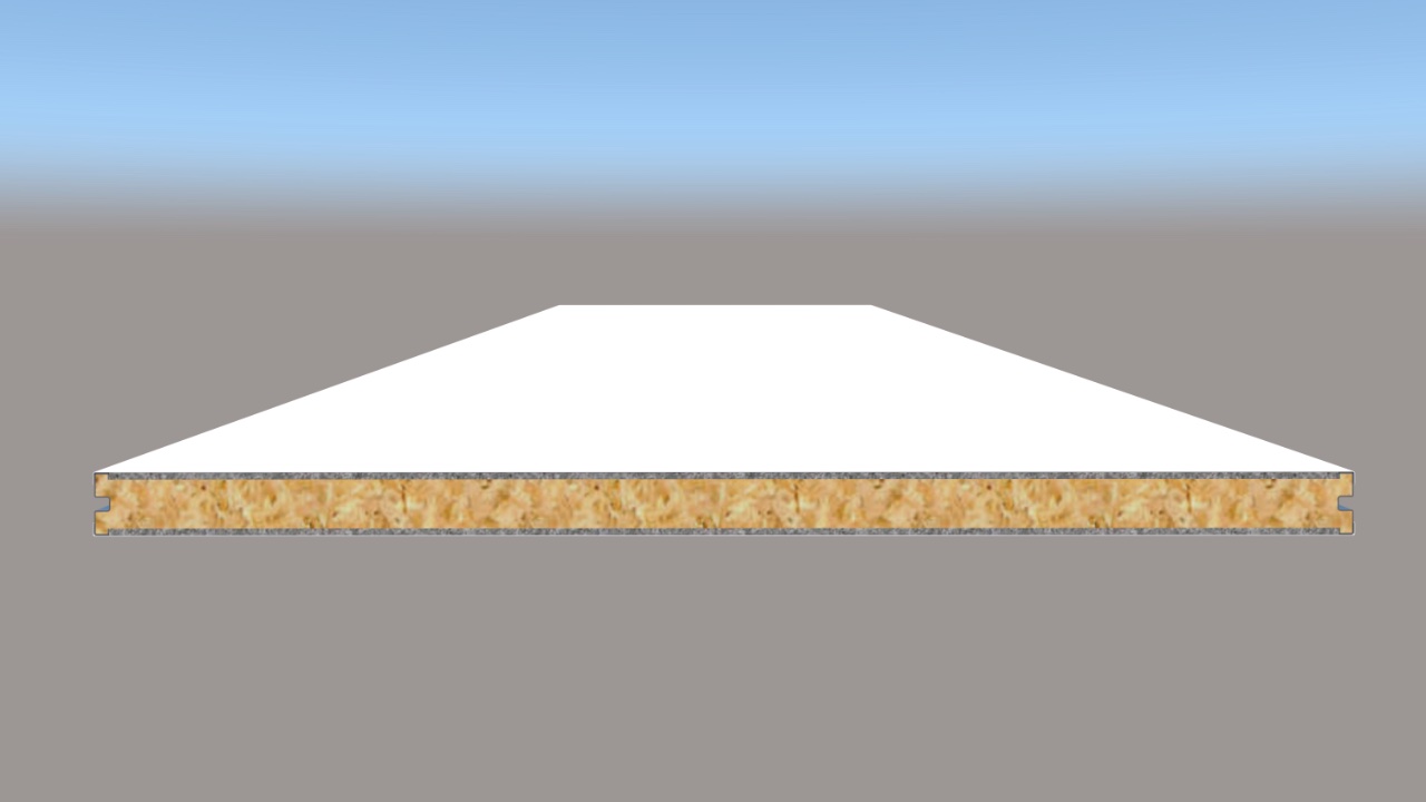 Rock Wool Cleanroom Panel